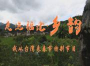 一幢楼一座城